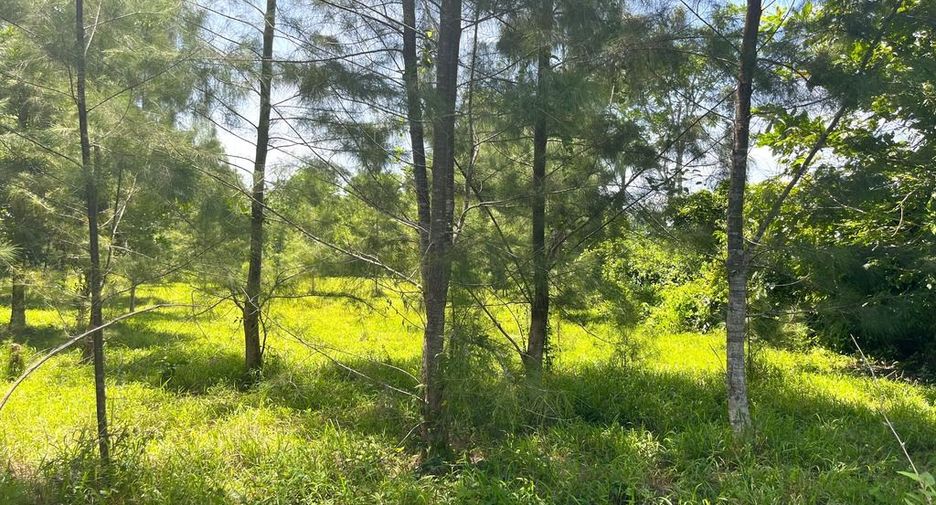Terreno en venta en Thai Mueang, Phang Nga