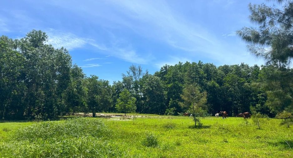 Terreno en venta en Thai Mueang, Phang Nga