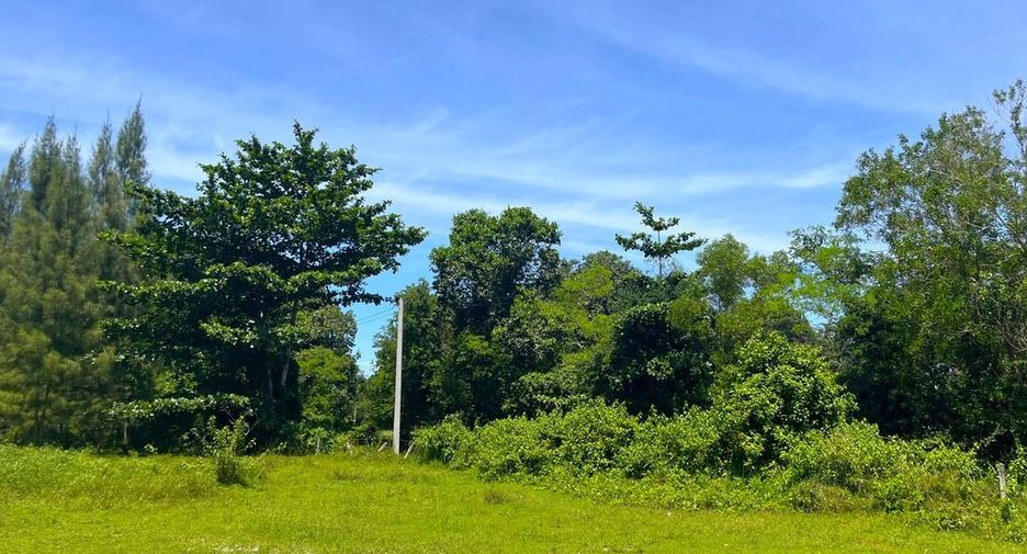 Terreno en venta en Thai Mueang, Phang Nga