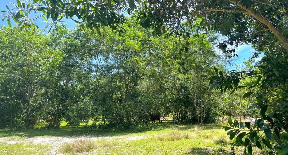 Terreno en venta en Thai Mueang, Phang Nga