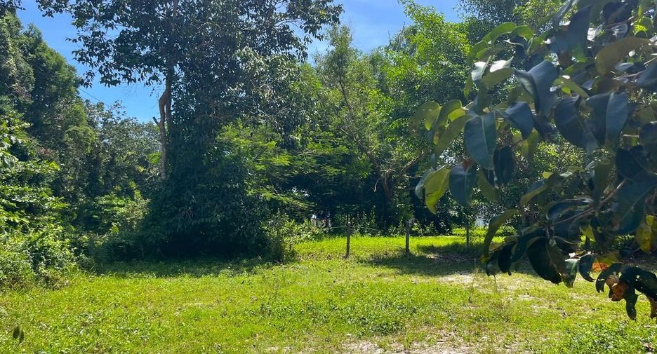 Terreno en venta en Thai Mueang, Phang Nga