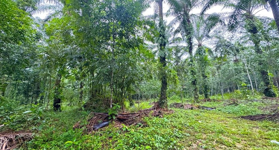 À vendre terrain à Mueang Krabi, Krabi