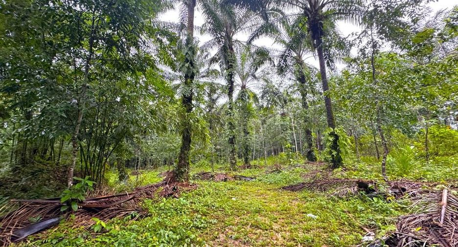 À vendre terrain à Mueang Krabi, Krabi