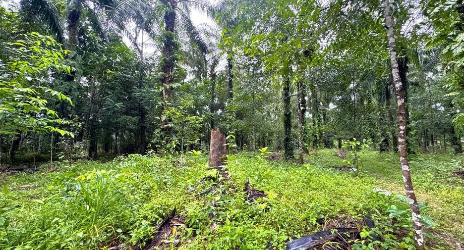 À vendre terrain à Mueang Krabi, Krabi