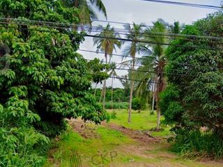 À vendre terrain à Bang Lamung, Chonburi