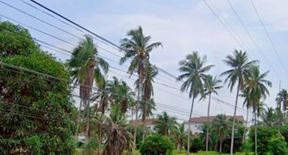 ขาย ที่ดิน ใน บางละมุง, ชลบุรี