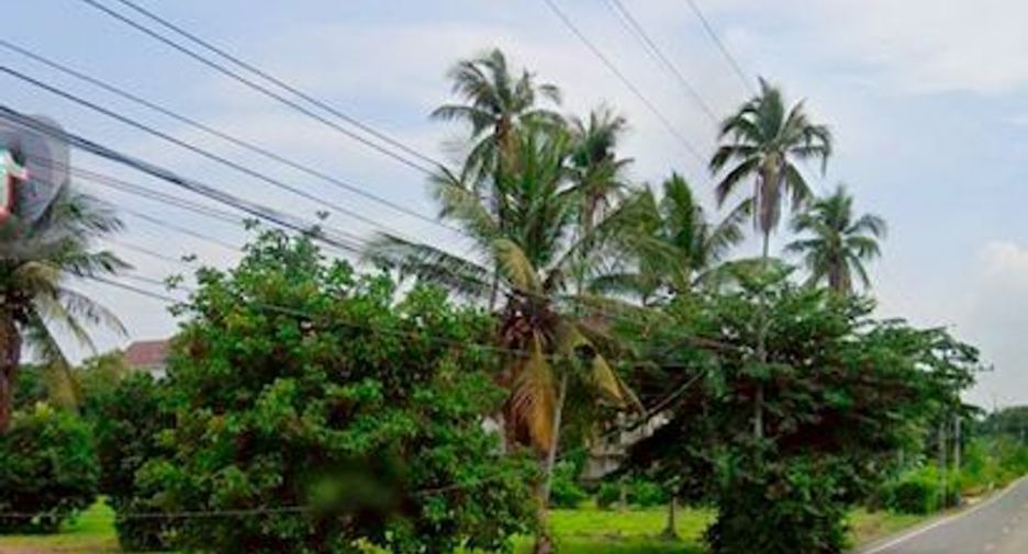 ขาย ที่ดิน ใน บางละมุง, ชลบุรี