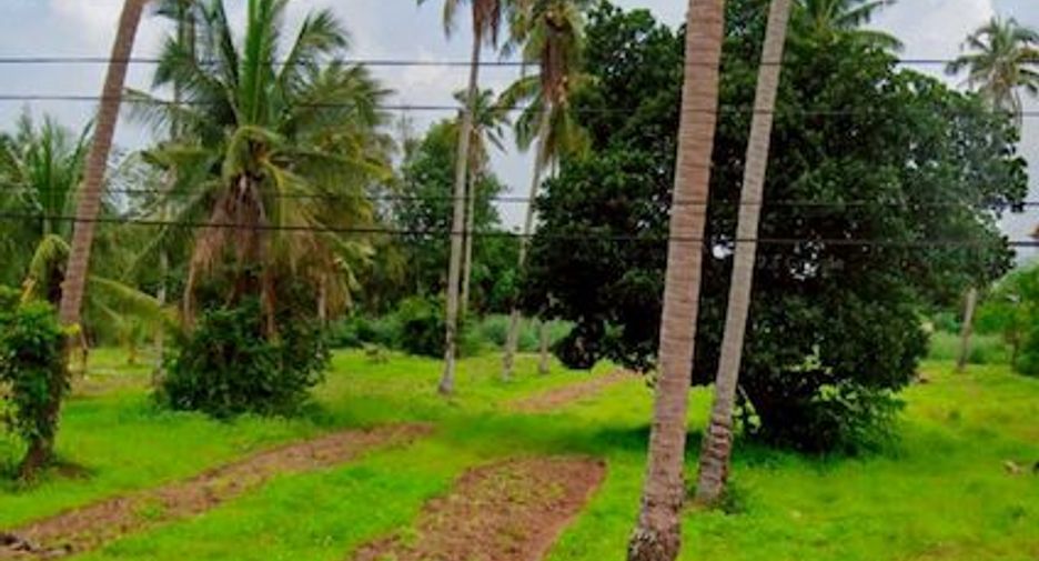 ขาย ที่ดิน ใน บางละมุง, ชลบุรี