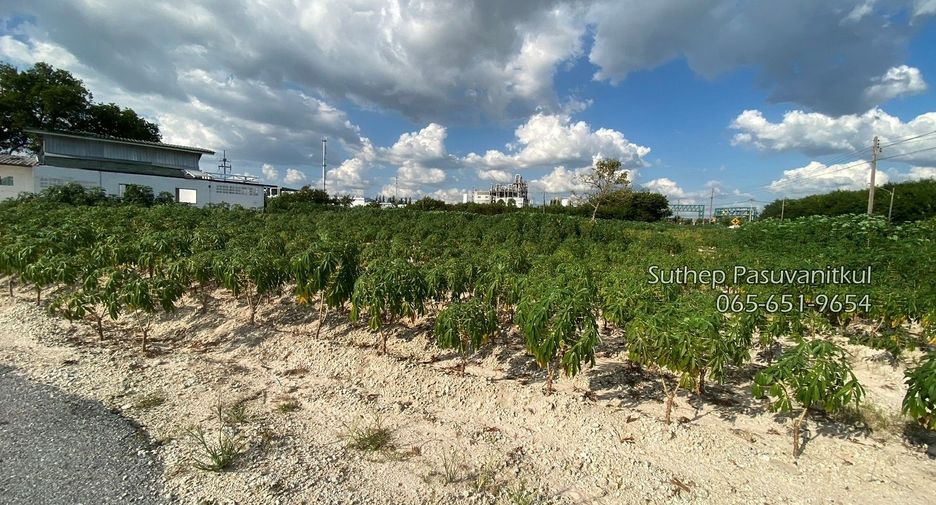 For sale land in Mueang Rayong, Rayong