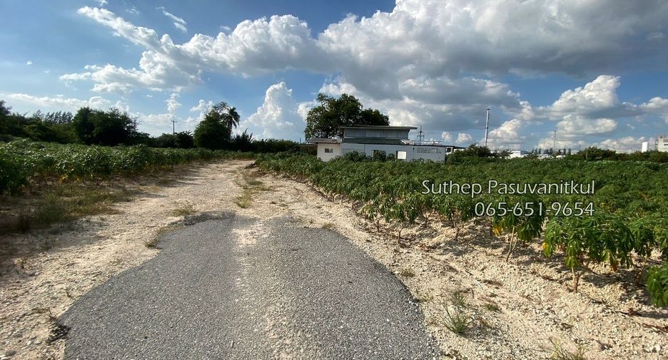 For sale land in Mueang Rayong, Rayong