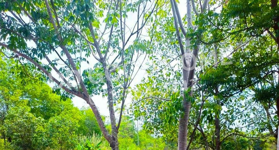 For sale land in Kham Ta Kla, Sakon Nakhon