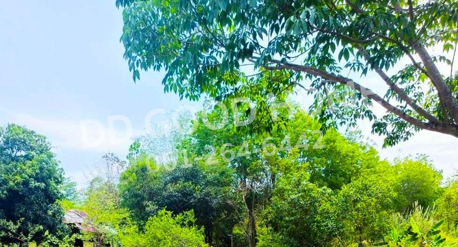 For sale land in Kham Ta Kla, Sakon Nakhon