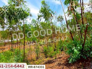 For sale land in Mueang Nongbua Lamphu, Nong Bua Lamphu