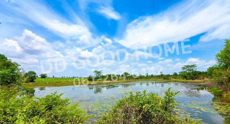 For sale land in Mueang Nongbua Lamphu, Nong Bua Lamphu