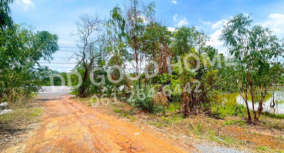 For sale land in Mueang Nongbua Lamphu, Nong Bua Lamphu