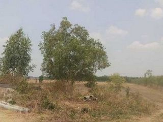 For sale land in Sanom, Surin