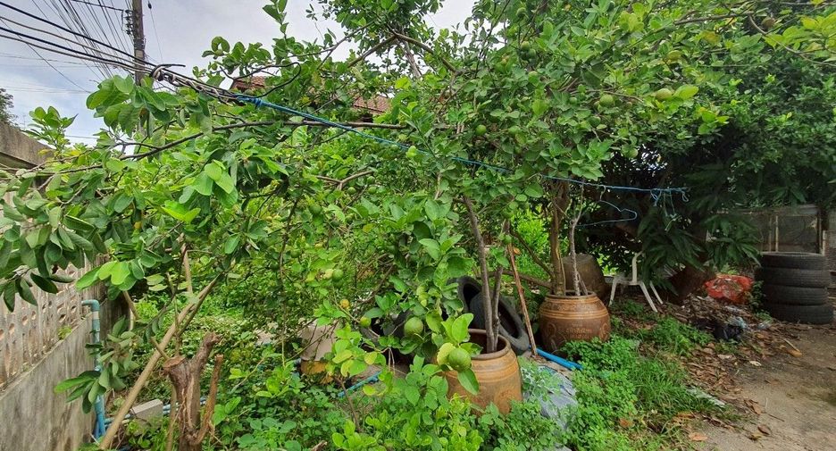 出售 5 卧室 独立屋 在 Bang Kruai, Nonthaburi