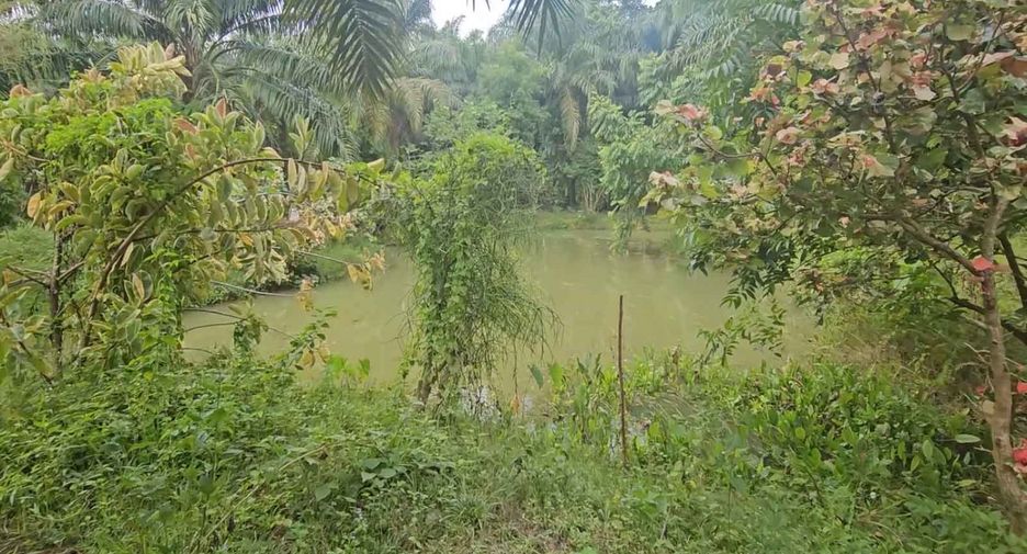 Grundstück zum Kauf in Mueang Krabi, Krabi
