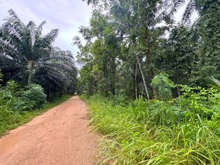 For sale land in Mueang Krabi, Krabi