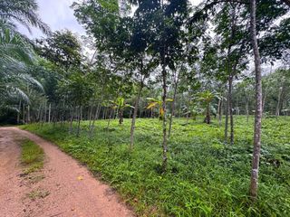 For sale land in Mueang Krabi, Krabi