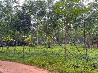 For sale land in Mueang Krabi, Krabi