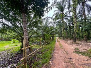 For sale land in Mueang Krabi, Krabi