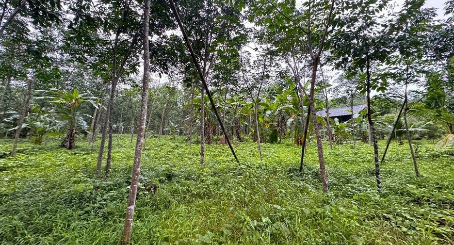À vendre terrain à Mueang Krabi, Krabi