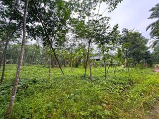 For sale land in Mueang Krabi, Krabi
