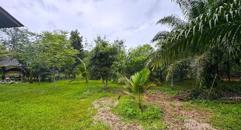 À vendre terrain à Mueang Krabi, Krabi