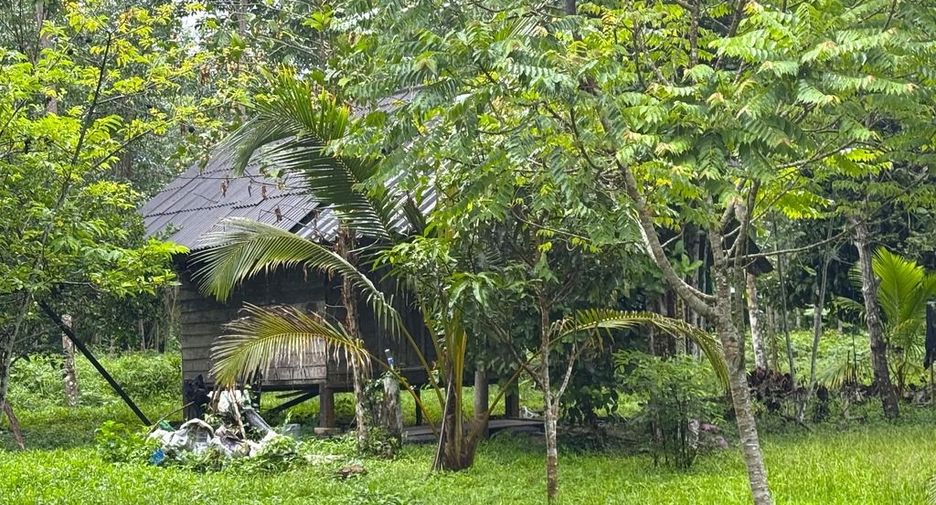 À vendre terrain à Mueang Krabi, Krabi