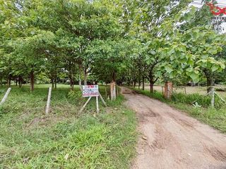 For sale land in Chok Chai, Nakhon Ratchasima