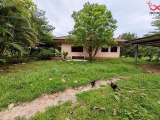For sale land in Chok Chai, Nakhon Ratchasima