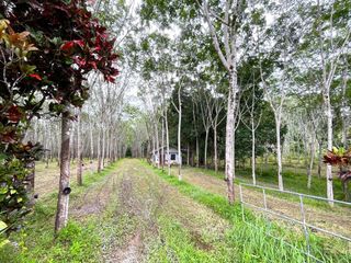 ขาย ที่ดิน ใน ตะกั่วทุ่ง, พังงา