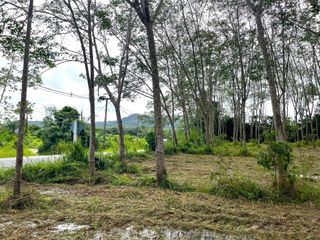 ขาย ที่ดิน ใน ตะกั่วทุ่ง, พังงา