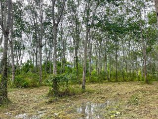 ขาย ที่ดิน ใน ตะกั่วทุ่ง, พังงา