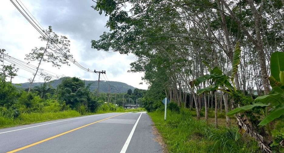For sale land in Takua Thung, Phang Nga