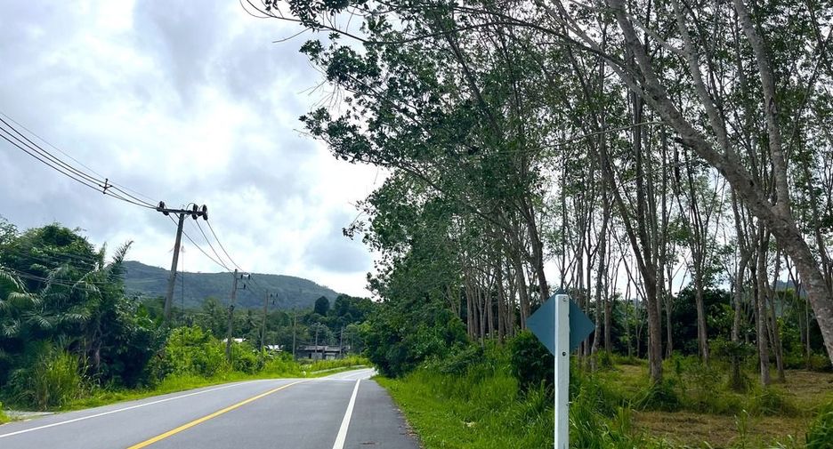 For sale land in Takua Thung, Phang Nga