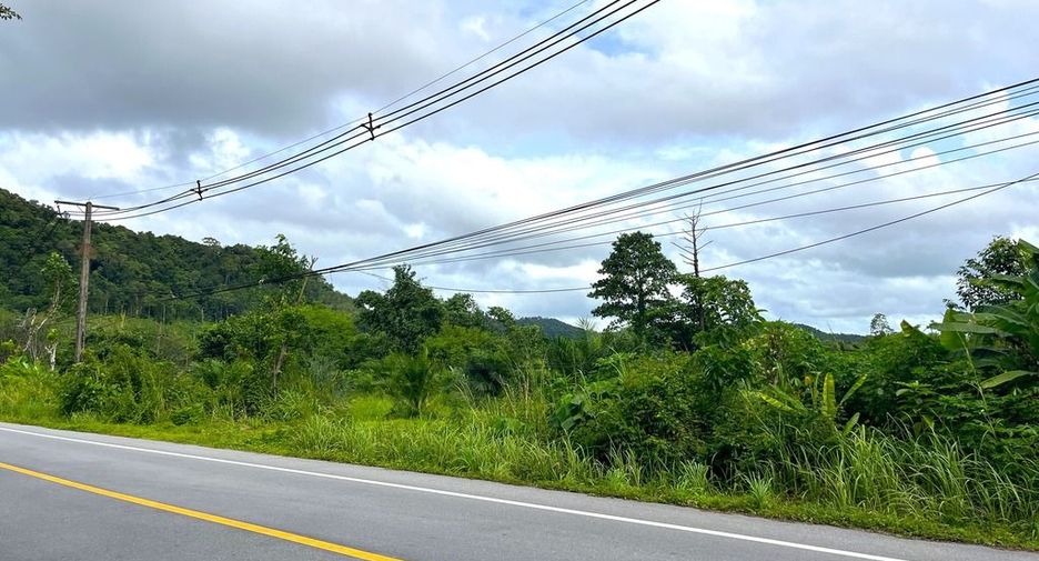 For sale land in Takua Thung, Phang Nga