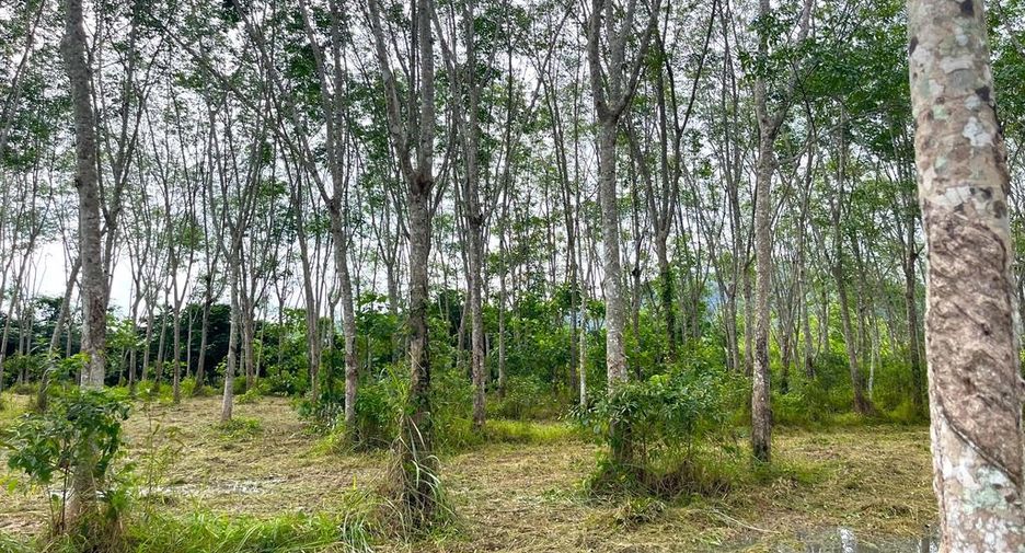For sale land in Takua Thung, Phang Nga