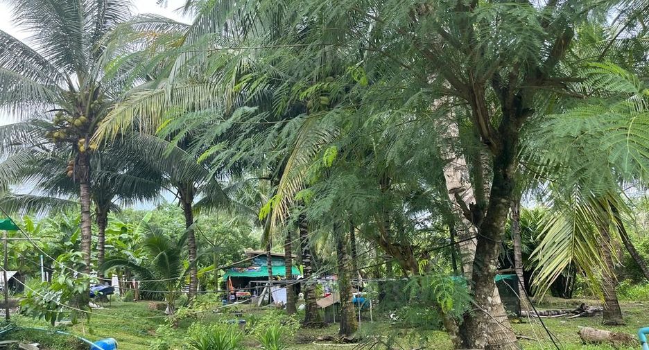For sale land in Takua Thung, Phang Nga