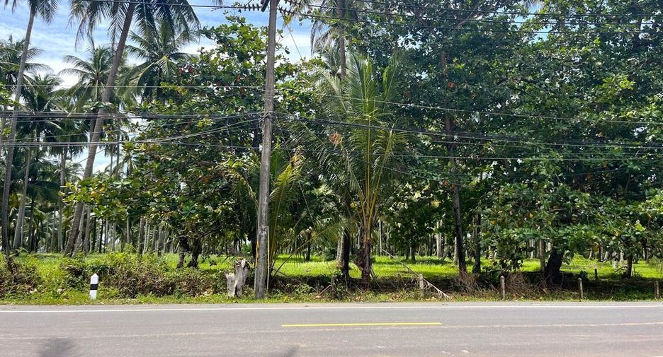 出售 土地 在 Takua Thung, Phangnga