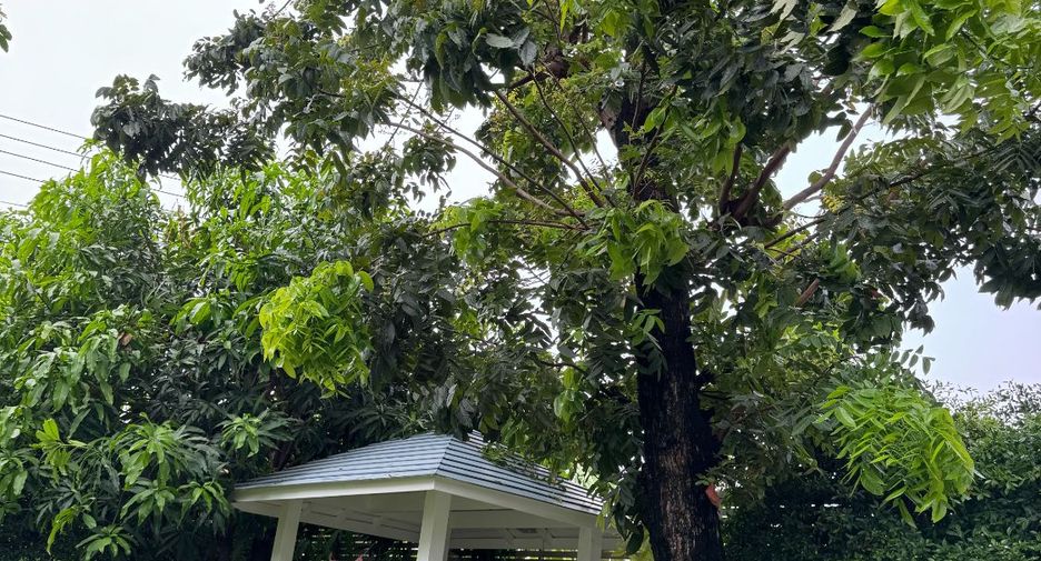 For sale 4 bedrooms villa in Prawet, Bangkok