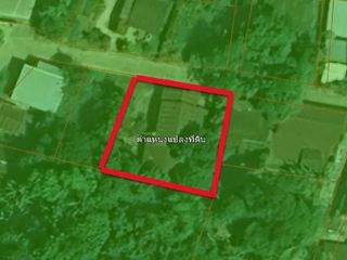 For sale land in Loeng Nok Tha, Yasothon