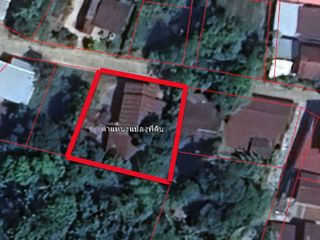 For sale land in Loeng Nok Tha, Yasothon
