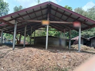 For sale land in Loeng Nok Tha, Yasothon
