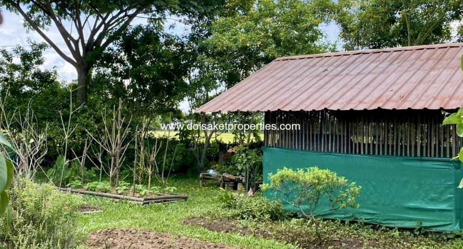 出售 5 卧室 独立屋 在 Wiang Pa Pao, Chiang Rai