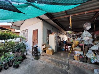 For sale land in Wang Thong, Phitsanulok