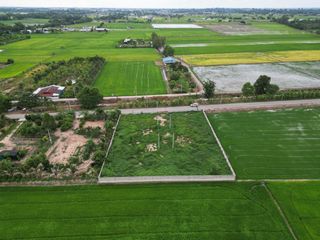 For sale land in Wang Thong, Phitsanulok