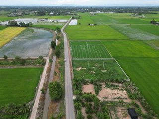 For sale land in Wang Thong, Phitsanulok