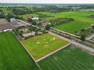 For sale land in Wang Thong, Phitsanulok